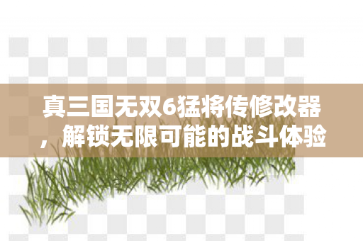 真三国无双6猛将传修改器，解锁无限可能的战斗体验，真三国无双6猛将传修改器，解锁无限战斗可能