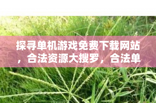 探寻单机游戏免费下载网站，合法资源大搜罗，合法单机游戏免费下载网站大搜罗