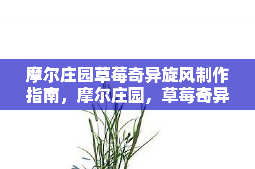 摩尔庄园草莓奇异旋风制作指南，摩尔庄园，草莓奇异旋风制作全攻略