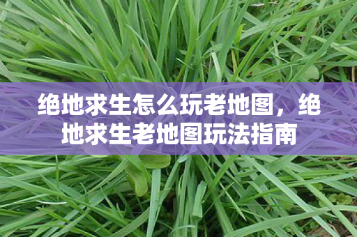 绝地求生老地图玩法指南图片
