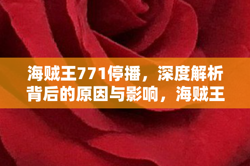 海贼王771停播,深度解析背后的原因与影响,海贼王771停播原因及影响解析 海贼王771停播,深度解析背后的原因与影响,海贼王771停播原因及影响解析