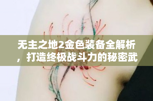 无主之地2金色装备全解析，打造终极战斗力的秘密武器，无主之地2金色装备全解析，打造终极战斗力的秘密武器