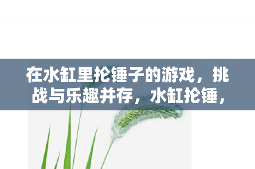 在水缸里抡锤子的游戏，挑战与乐趣并存，水缸抡锤，挑战与乐趣的完美结合