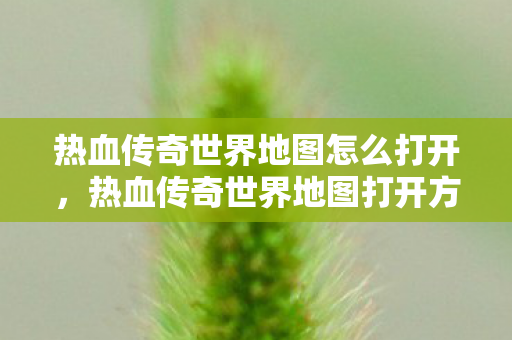 热血传奇世界地图怎么打开，热血传奇世界地图打开方法