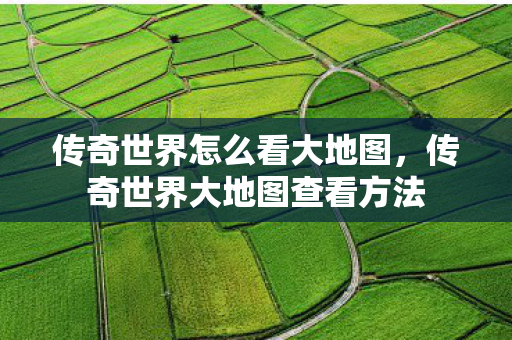 传奇世界怎么看大地图，传奇世界大地图查看方法