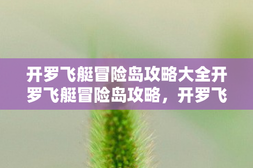 开罗飞艇冒险岛攻略大全开罗飞艇冒险岛攻略，开罗飞艇冒险岛全攻略，解锁冒险之旅