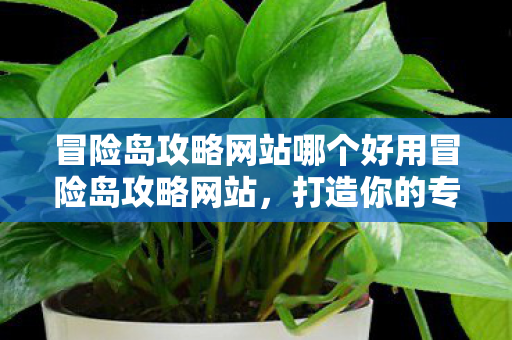 冒险岛攻略网站哪个好用冒险岛攻略网站图片