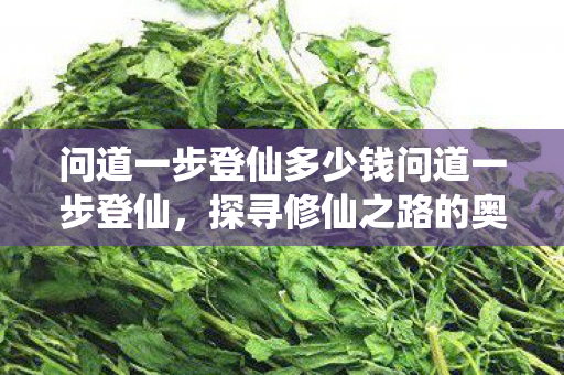 问道一步登仙多少钱问道一步登仙图片