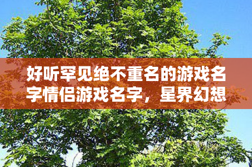 好听罕见绝不重名的游戏名字情侣游戏名字图片
