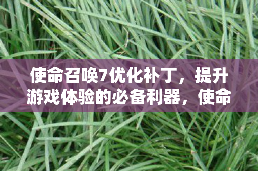 提升游戏体验的必备利器图片