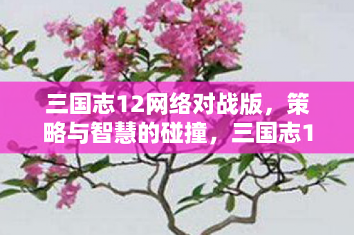 三国志12网络对战版，策略与智慧的碰撞，三国志12网络对战版，策略与智慧的激烈碰撞！