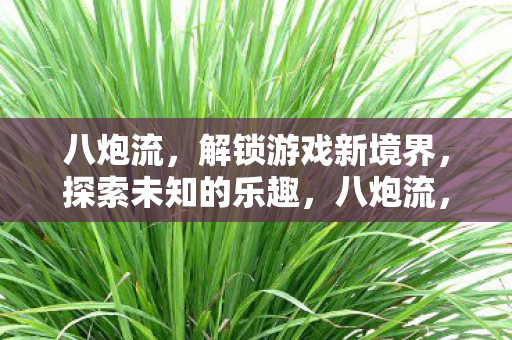八炮流,解锁游戏新境界,探索未知的乐趣,八炮流,解锁游戏新境界,探索未知乐趣 八炮流,解锁游戏新境界,探索未知的乐趣,八炮流,解锁游戏新境界,探索未知乐趣