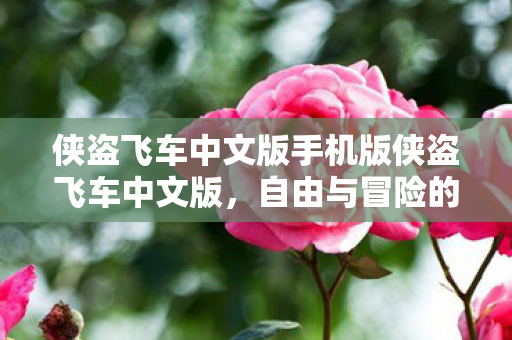 侠盗飞车中文版手机版侠盗飞车中文版图片