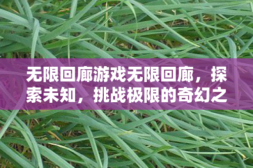 无限回廊游戏无限回廊，探索未知，挑战极限的奇幻之旅，无限回廊，探索未知，挑战极限的奇幻之旅