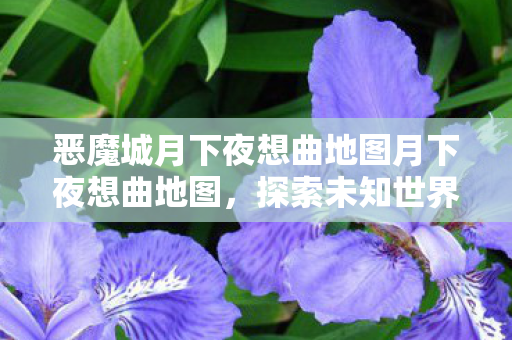 恶魔城月下夜想曲地图月下夜想曲地图，探索未知世界的奇幻之旅，恶魔城，月下夜想曲地图探索，奇幻之旅启程！