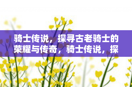 骑士传说，探寻古老骑士的荣耀与传奇，骑士传说，探寻古老骑士的荣耀与传奇