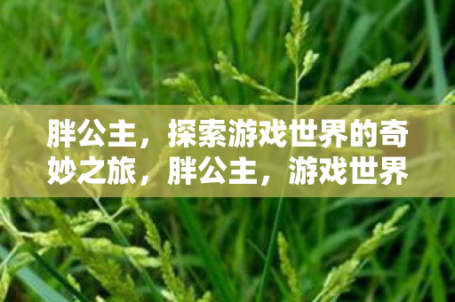 胖公主，探索游戏世界的奇妙之旅，胖公主，游戏世界的奇妙探险