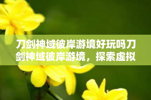 刀剑神域彼岸游境好玩吗刀剑神域彼岸游境,探索虚拟世界的奇妙之旅,刀剑神域彼岸游境,探索虚拟世界的奇妙冒险之旅 刀剑神域彼岸游境好玩吗刀剑神域彼岸游境,探索虚拟世界的奇妙之旅,刀剑神域彼岸游境,探索虚拟世界的奇妙冒险之旅