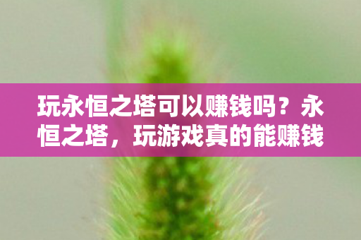 玩永恒之塔可以赚钱吗？永恒之塔，玩游戏真的能赚钱吗？