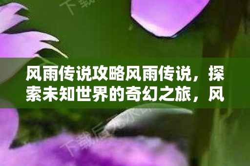 风雨传说攻略风雨传说，探索未知世界的奇幻之旅，风雨传说，探索未知世界的奇幻之旅