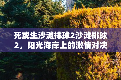 死或生沙滩排球2沙滩排球2，阳光海岸上的激情对决，死或生沙滩排球2，阳光海岸上的激情对决