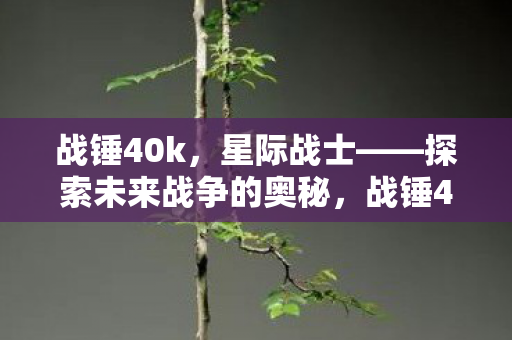 战锤40k,星际战士——探索未来战争的奥秘,战锤40k,星际战士揭示未来战争奥秘 战锤40k,星际战士——探索未来战争的奥秘,战锤40k,星际战士揭示未来战争奥秘
