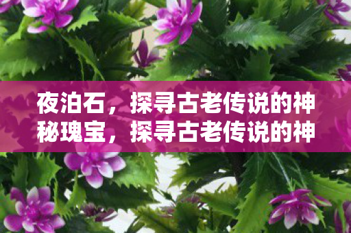 夜泊石,探寻古老传说的神秘瑰宝,探寻古老传说的神秘瑰宝,夜泊石 夜泊石,探寻古老传说的神秘瑰宝,探寻古老传说的神秘瑰宝,夜泊石