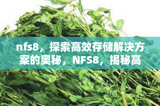 nfs8,探索高效存储解决方案的奥秘,NFS8,揭秘高效存储解决方案的奥秘 nfs8,探索高效存储解决方案的奥秘,NFS8,揭秘高效存储解决方案的奥秘