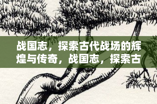战国志,探索古代战场的辉煌与传奇,战国志,探索古代战场的辉煌与传奇 战国志,探索古代战场的辉煌与传奇,战国志,探索古代战场的辉煌与传奇
