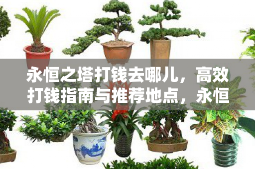 永恒之塔打钱去哪儿，高效打钱指南与推荐地点，永恒之塔高效打钱指南，推荐地点与攻略