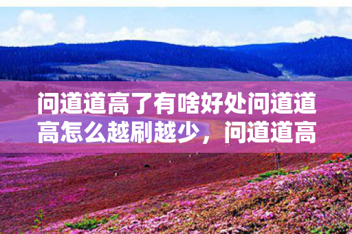 问道道高了有啥好处问道道高怎么越刷越少图片