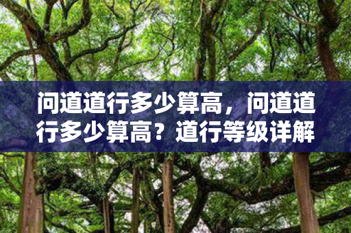 问道道行多少算高图片