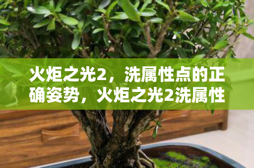 火炬之光2洗属性点攻略图片