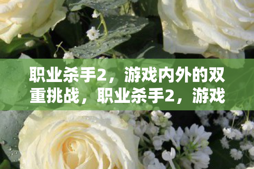 职业杀手2,游戏内外的双重挑战,职业杀手2,游戏内外双重挑战,你准备好了吗? 职业杀手2,游戏内外的双重挑战,职业杀手2,游戏内外双重挑战,你准备好了吗?