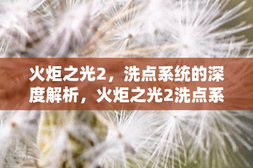 火炬之光2洗点系统深度解析图片