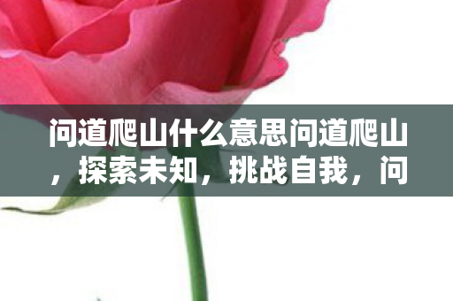 问道爬山什么意思问道爬山图片