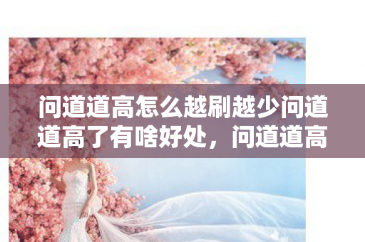 问道道高怎么越刷越少问道道高了有啥好处图片