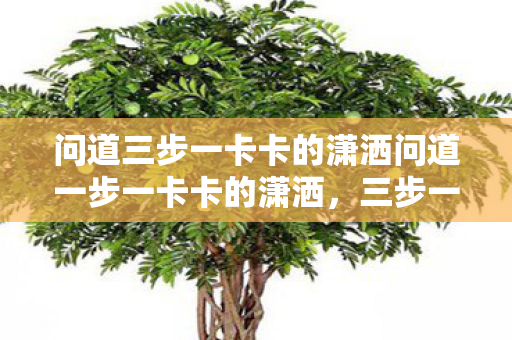 问道三步一卡卡的潇洒问道一步一卡卡的潇洒图片