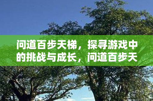 探寻游戏中的挑战与成长之旅图片