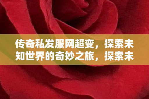 传奇私发服网超变,探索未知世界的奇妙之旅,探索未知世界的奇妙之旅,传奇私发服网超变 传奇私发服网超变,探索未知世界的奇妙之旅,探索未知世界的奇妙之旅,传奇私发服网超变