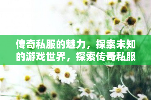 探索未知的游戏世界图片