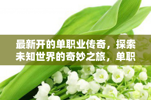 最新开的单职业传奇,探索未知世界的奇妙之旅,单职业传奇,探索未知世界的奇妙之旅 最新开的单职业传奇,探索未知世界的奇妙之旅,单职业传奇,探索未知世界的奇妙之旅