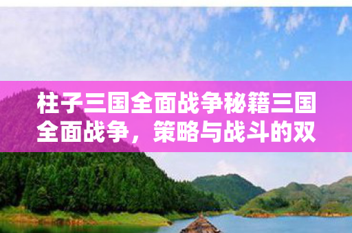 柱子三国全面战争秘籍三国全面战争，策略与战斗的双重秘籍，三国全面战争，策略与战斗的双重秘籍