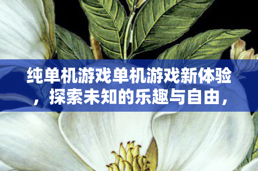纯单机游戏单机游戏新体验,探索未知的乐趣与自由,探索未知乐趣与自由,纯单机游戏新体验 纯单机游戏单机游戏新体验,探索未知的乐趣与自由,探索未知乐趣与自由,纯单机游戏新体验