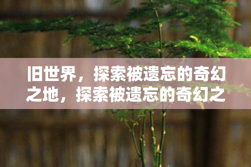 旧世界，探索被遗忘的奇幻之地，探索被遗忘的奇幻之地，旧世界的神秘魅力