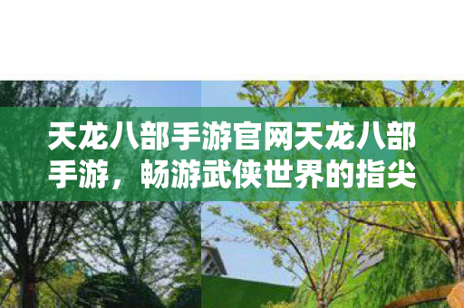 天龙八部手游官网天龙八部手游图片