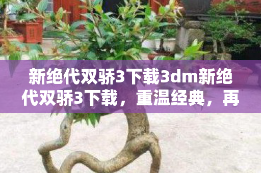 新绝代双骄3下载3dm新绝代双骄3下载，重温经典，再续传奇，新绝代双骄3，重温经典，再续传奇下载