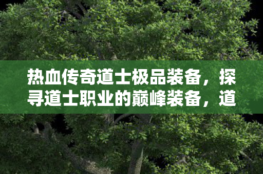 热血传奇道士极品装备，探寻道士职业的巅峰装备，道士极品装备揭秘，热血传奇中的巅峰装备