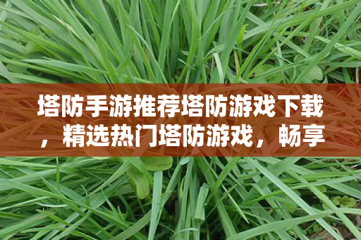 塔防手游推荐塔防游戏下载，精选热门塔防游戏，畅享策略与乐趣，精选热门塔防手游，畅享策略与乐趣！