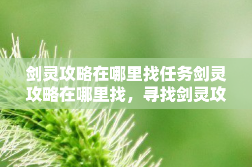 剑灵攻略在哪里找任务剑灵攻略在哪里找图片